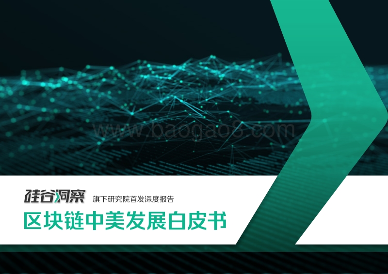 区块链中美发展白皮书.pdf_第1页