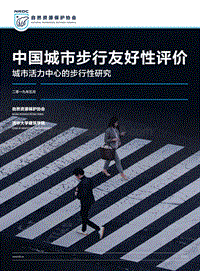 中国城市步行友好性评价：城市活力中心的步行性研究.pdf