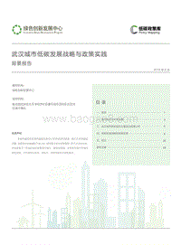 武汉城市低碳发展战略与政策实践背景报告.pdf