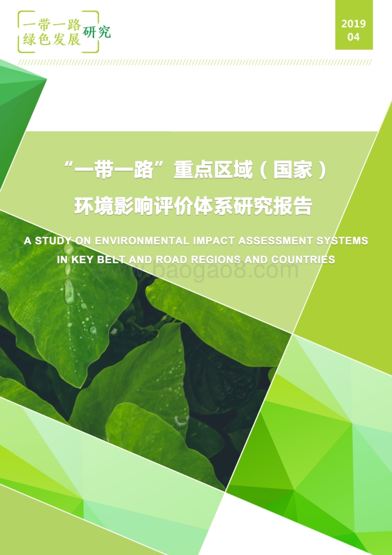 “一带一路”重点区域（国家）环境影响评价体系研究报告.pdf_第1页