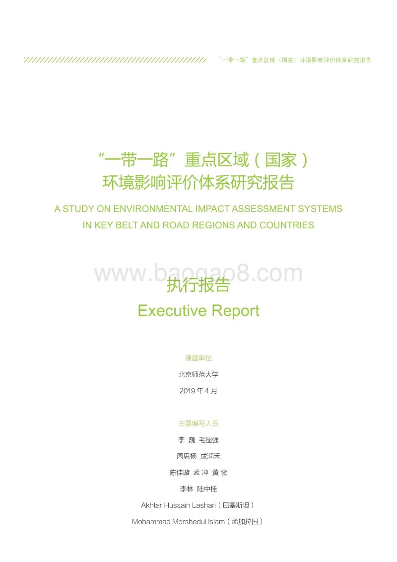 “一带一路”重点区域（国家）环境影响评价体系研究报告.pdf_第3页