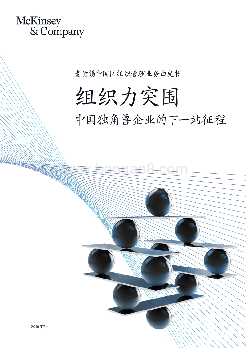 组织力突围：中国独角兽企业的下一站征程.pdf_第1页