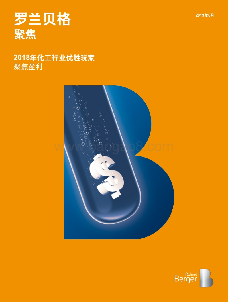 聚焦盈利：2018年化工行业优胜玩家.pdf_第1页
