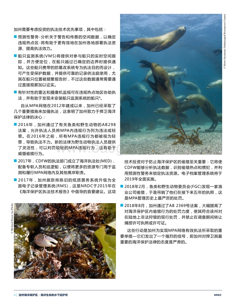 加州海洋保护区：海洋生命的水下庇护所.pdf_第3页