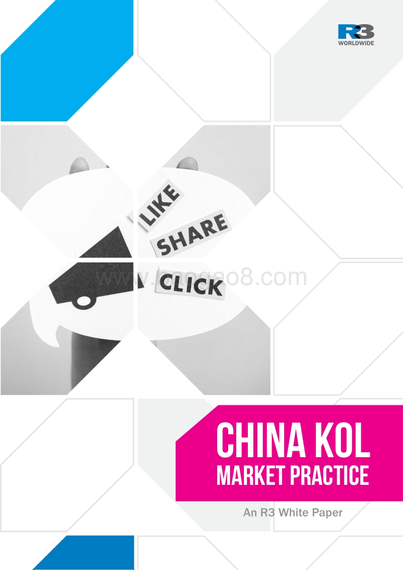 中国KOL营销市场实践白皮书：品牌和KOL的5种合作模式.pdf_第1页