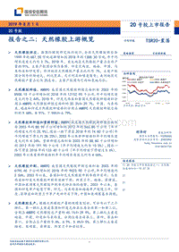 20号胶上市报告：报告之二：天然橡胶上游概览.pdf