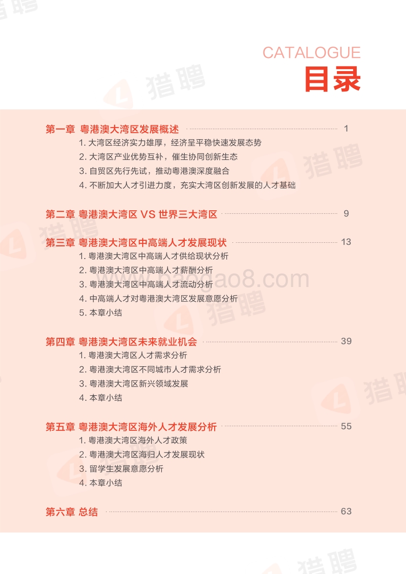 2019粤港澳大湾区中高端人才发展报告.pdf_第5页