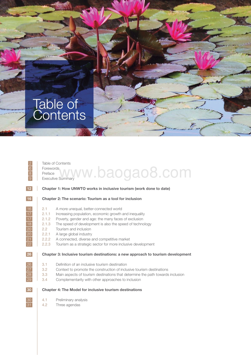 关于包容性旅游目的地的全球报告：模式和成功案例（英文版）.pdf_第3页