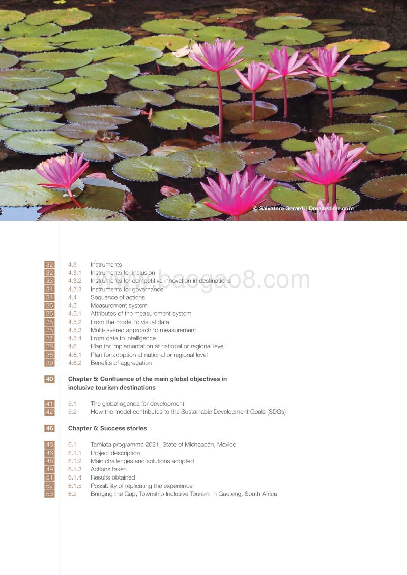 关于包容性旅游目的地的全球报告：模式和成功案例（英文版）.pdf_第4页