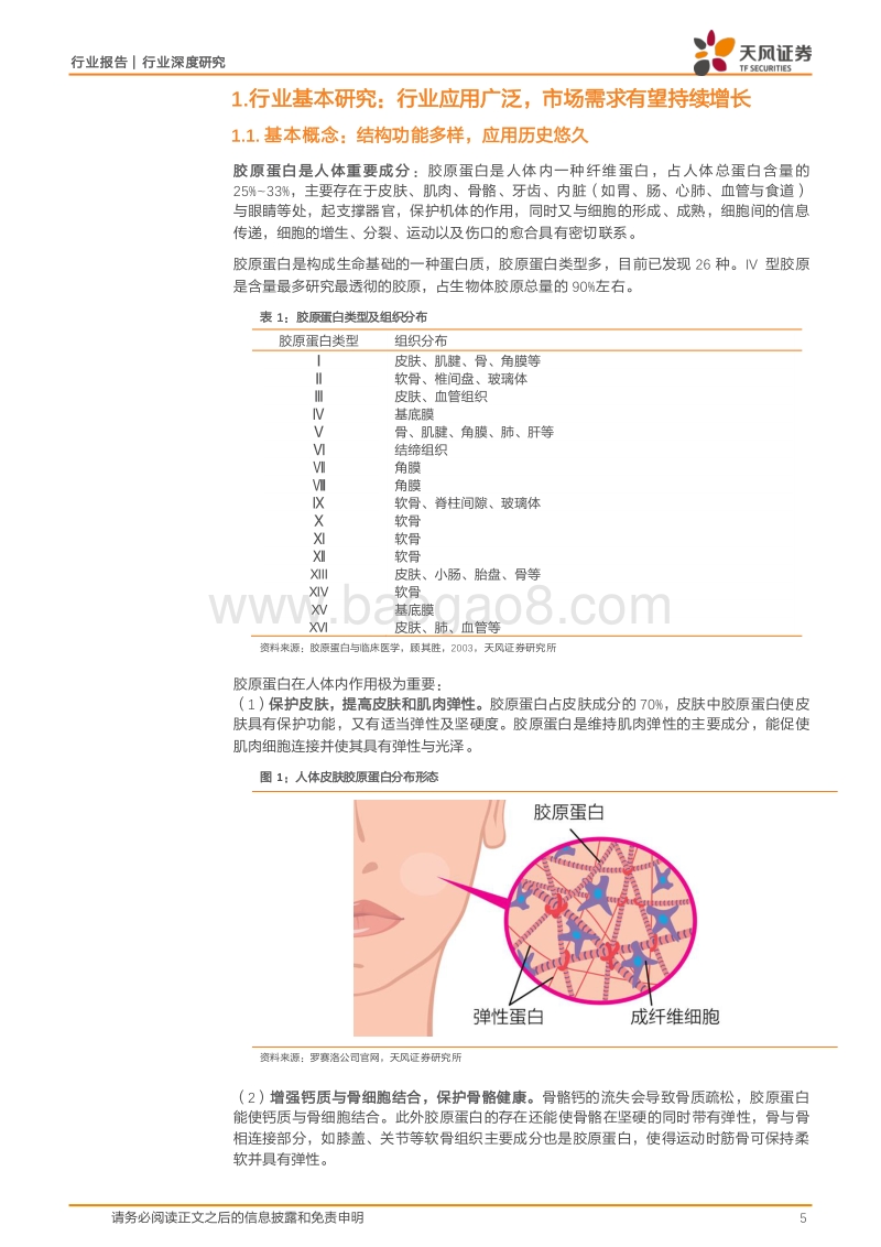 健康起航，涌出胶原行业龙头企业.pdf_第5页