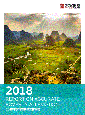 2018年度精准扶贫工作报告.pdf