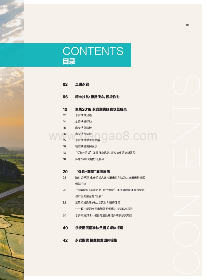 2018年度精准扶贫工作报告.pdf_第3页