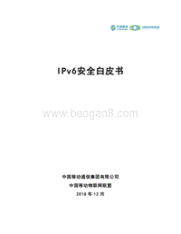 IPv6安全白皮书.pdf