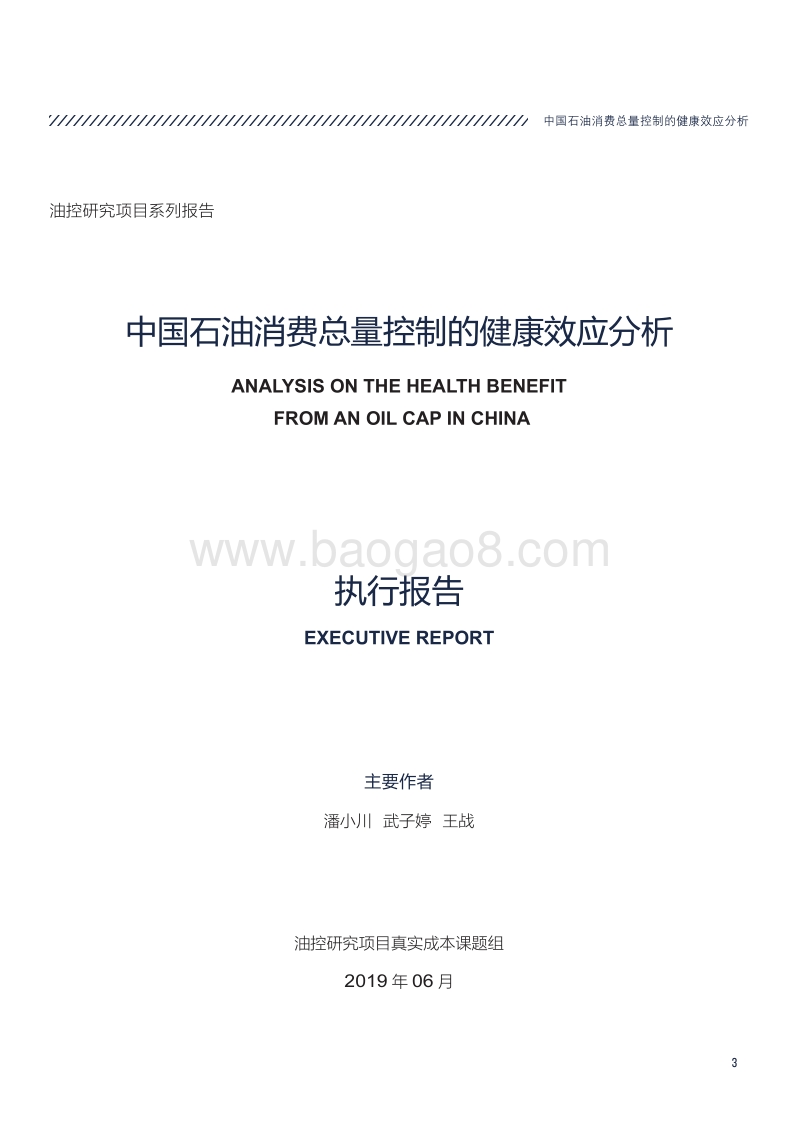 中国石油消费总量控制的健康效应分析.pdf_第3页