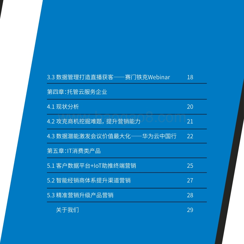 2019IT行业营销指导手册.pdf_第3页