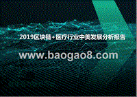 2019区块链+医疗行业中美发展分析报告.pptx
