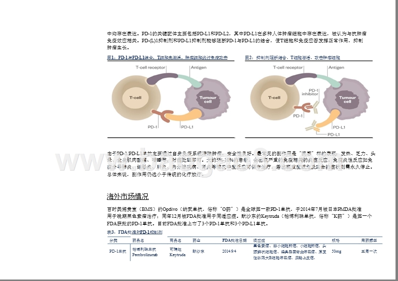 2019年PD-1抑制剂研究报告.pptx_第5页