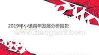 2019年小镇青年发展分析报告.pptx