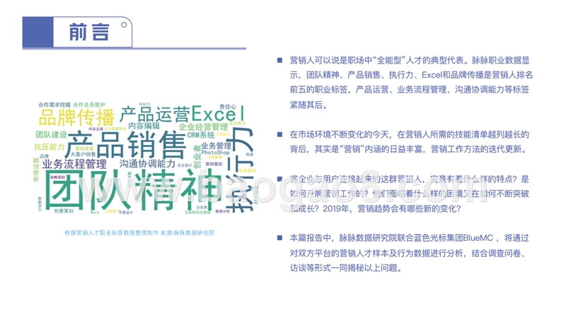 2019中国营销人洞察报告.pptx_第2页