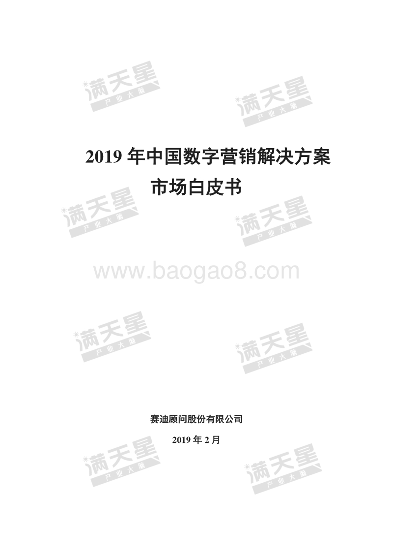 2019年中国数字营销解决方案市场白皮书.pdf_第1页