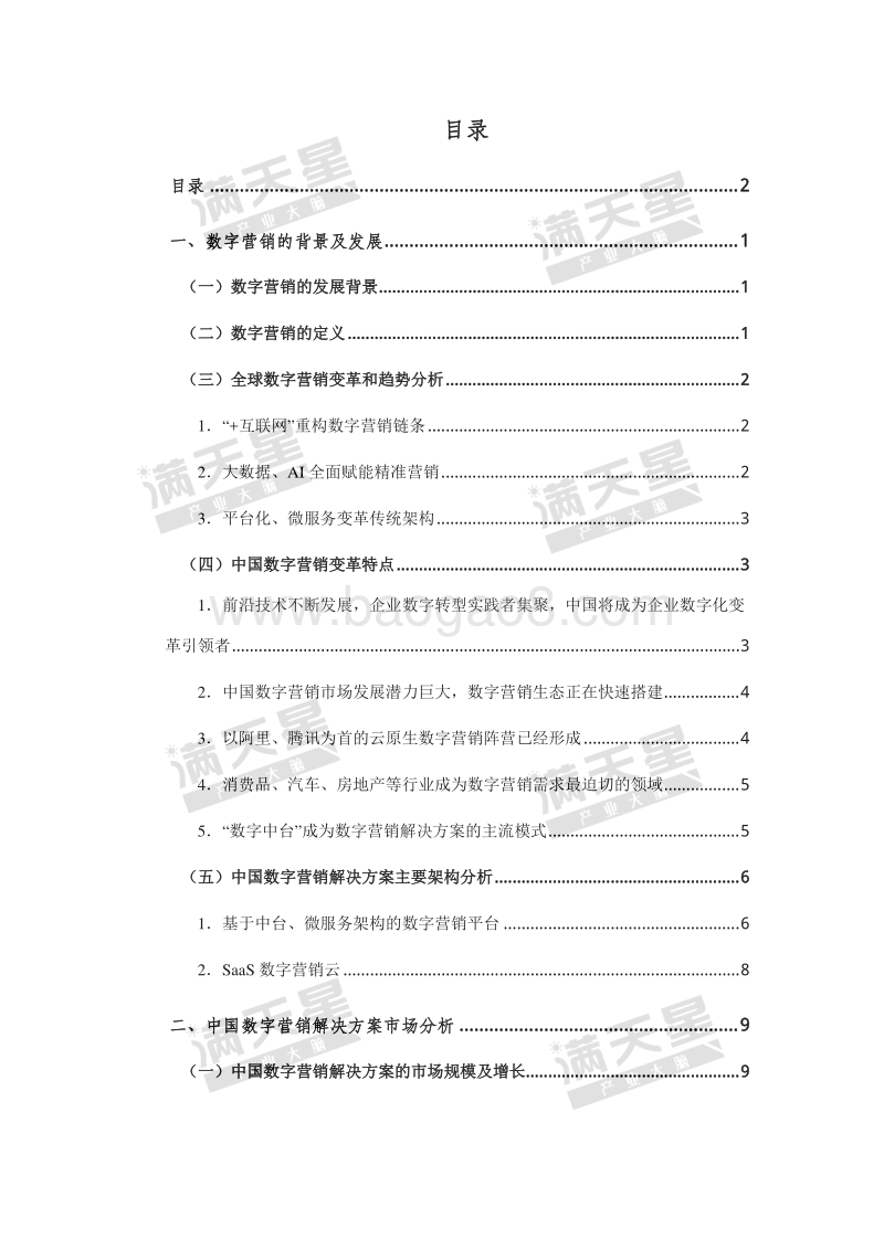 2019年中国数字营销解决方案市场白皮书.pdf_第2页