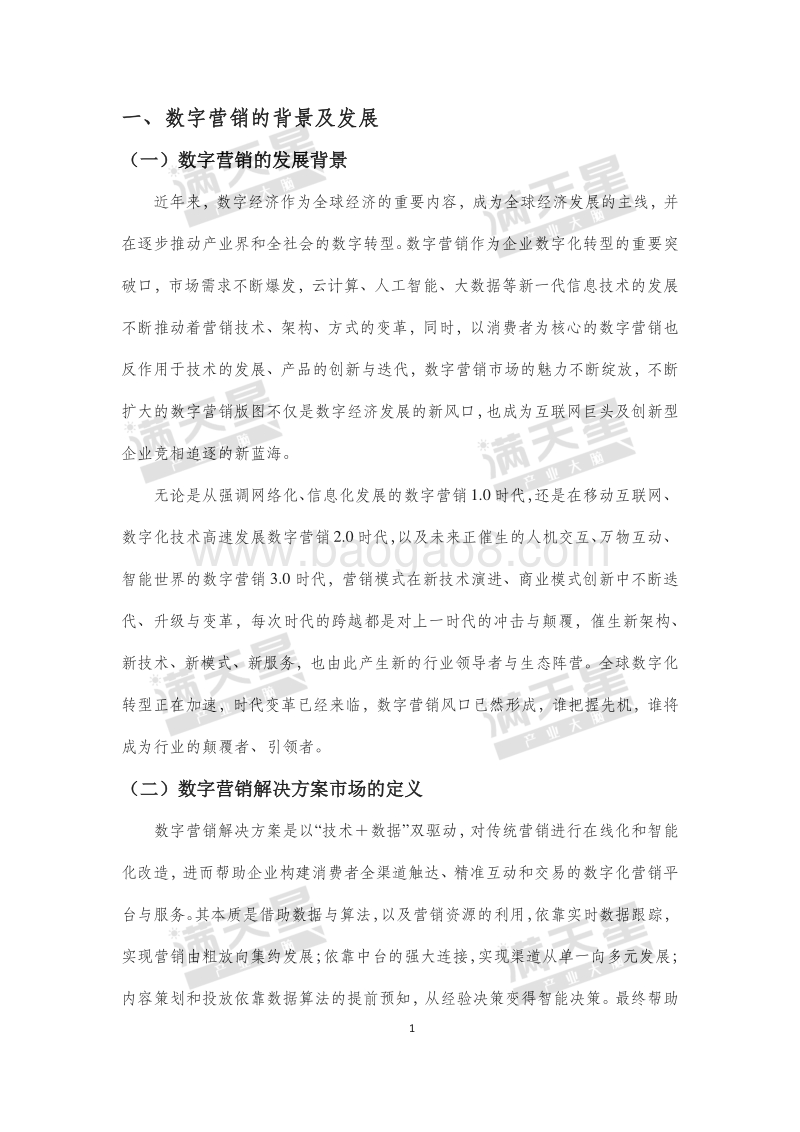2019年中国数字营销解决方案市场白皮书.pdf_第5页