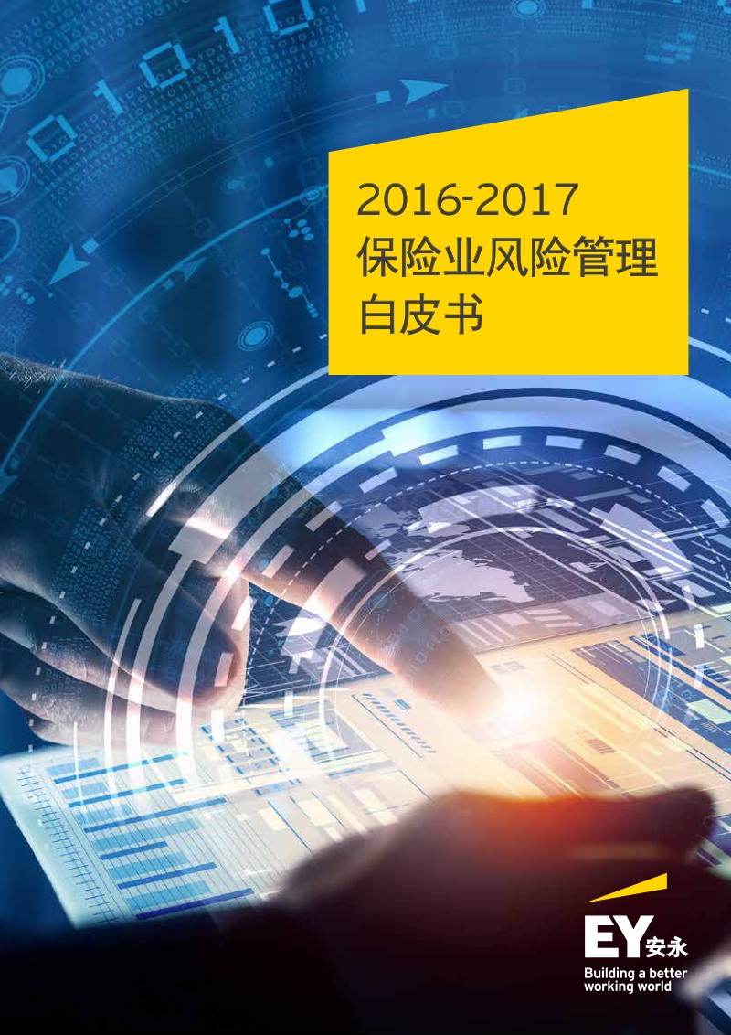 2016-2017保险业风险管理白皮书.pdf_第1页
