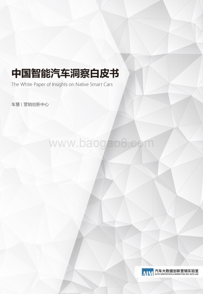 中国智能汽车洞察白皮书.pdf_第1页