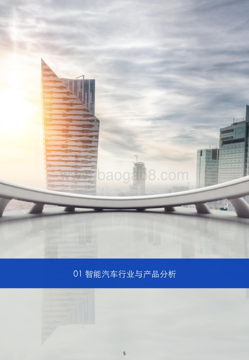中国智能汽车洞察白皮书.pdf_第5页
