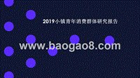 2019小镇青年消费群体研究报告.pptx