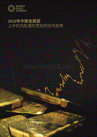 2019年中黄金展望：上升的风险遇到宽松的货币政策.pdf
