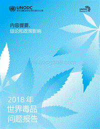 2018年世界毒品问题报告.pdf