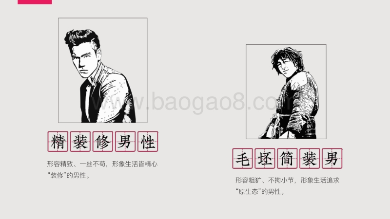 他经济下，精装修男性生存图鉴.pdf_第2页