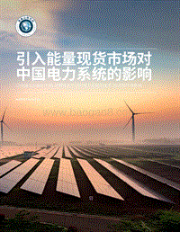 引入能量现货市场对中国电力系统的影响.pdf