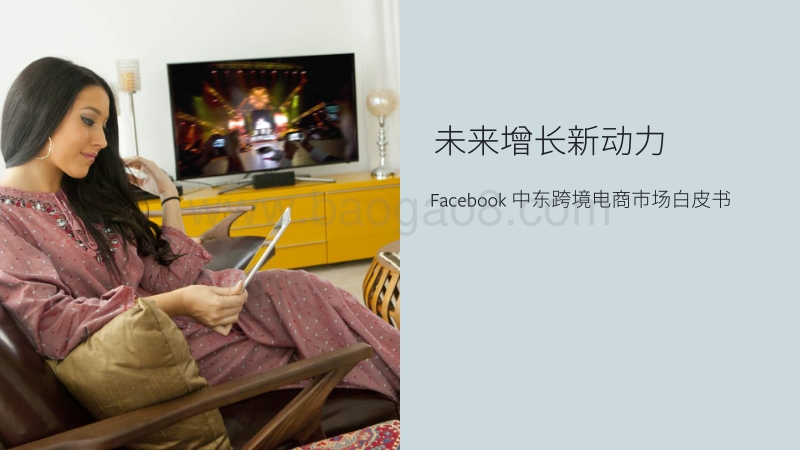 Facebook中东跨境电商市场白皮书.pdf_第1页