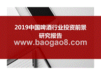 2019中国啤酒行业投资前景研究报告.pptx