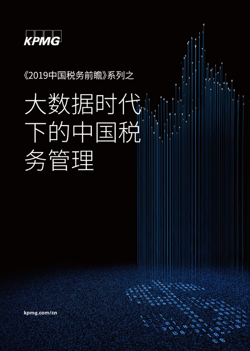 大数据时代下的中国税务管理.pdf_第1页