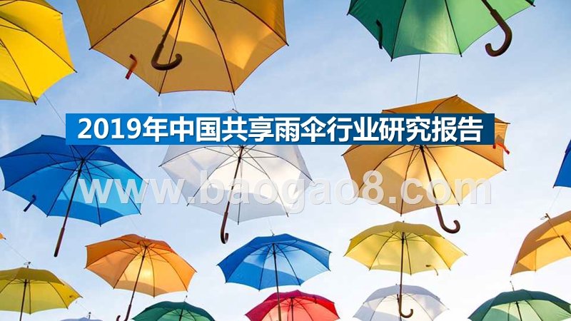 2019年中国共享雨伞行业研究报告.pptx_第1页