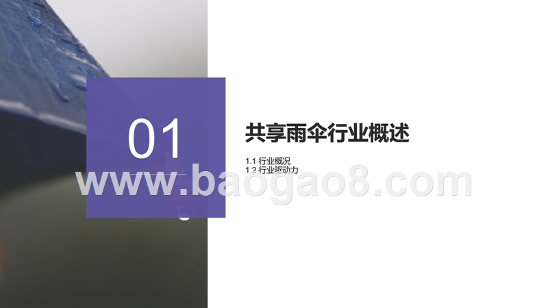 2019年中国共享雨伞行业研究报告.pptx_第5页