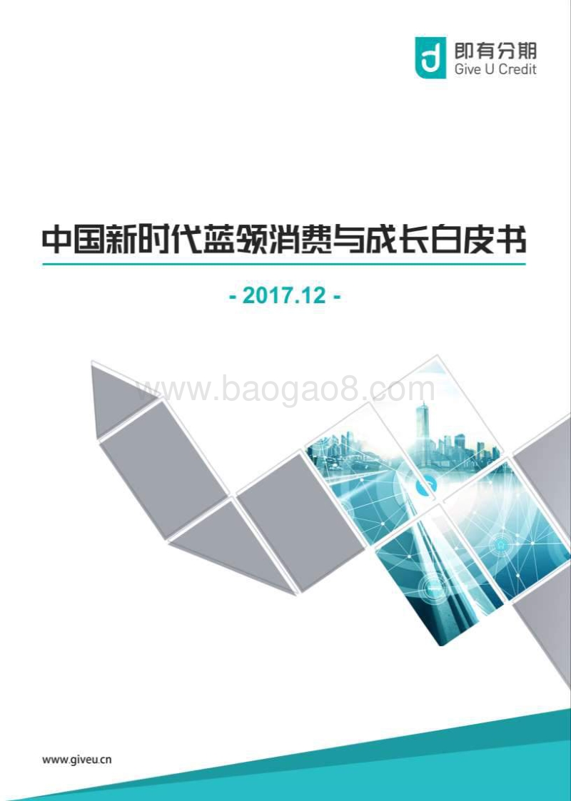2017中国新时代蓝领消费与成长白皮书.pdf_第1页