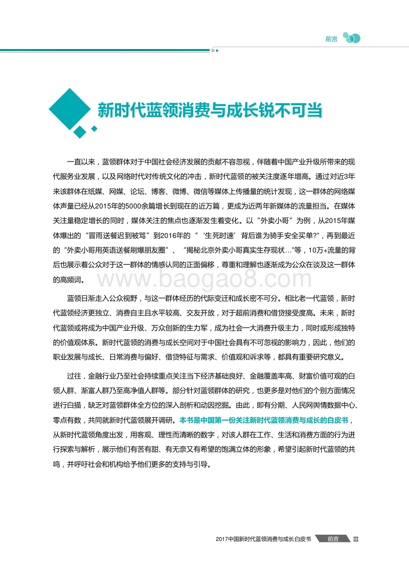 2017中国新时代蓝领消费与成长白皮书.pdf_第5页