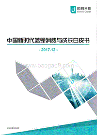 2017中国新时代蓝领消费与成长白皮书.pdf