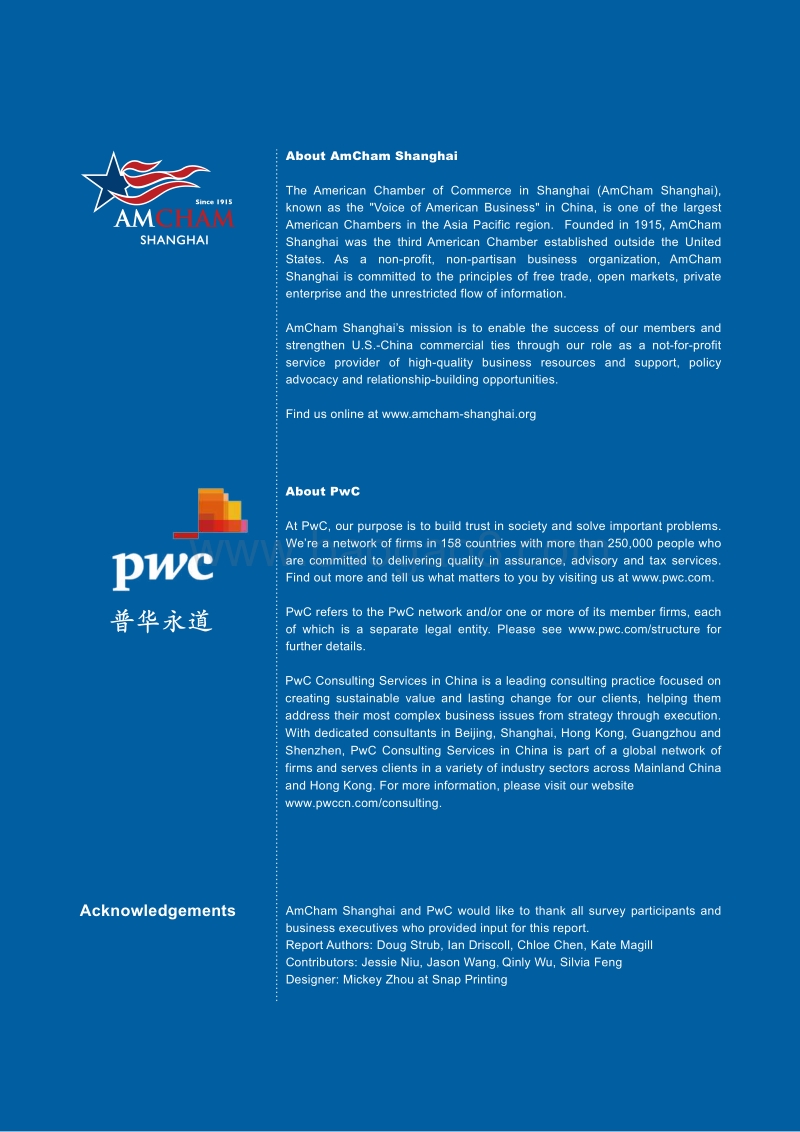 上海美国商会-2019年中国商业报告（中英）.pdf_第2页