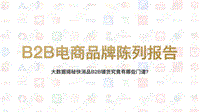 B2B电商品牌陈列报告2019年.pdf