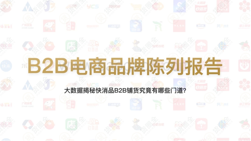 B2B电商品牌陈列报告2019年.pdf_第1页