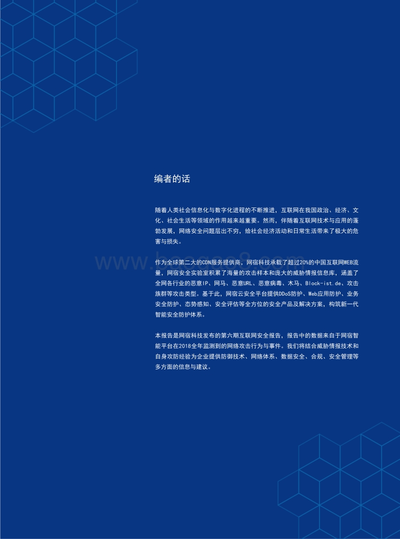 2018中国互联网安全报告.pdf_第2页
