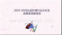 2019-2020头皮护理行业分析及消费者洞察报告.pptx