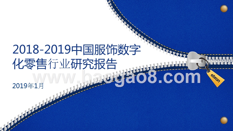 2018-2019中国服饰数字化零售行业研究报告.pptx_第1页