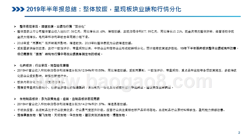 2019-2020医药行业总结分析报告.pptx_第2页