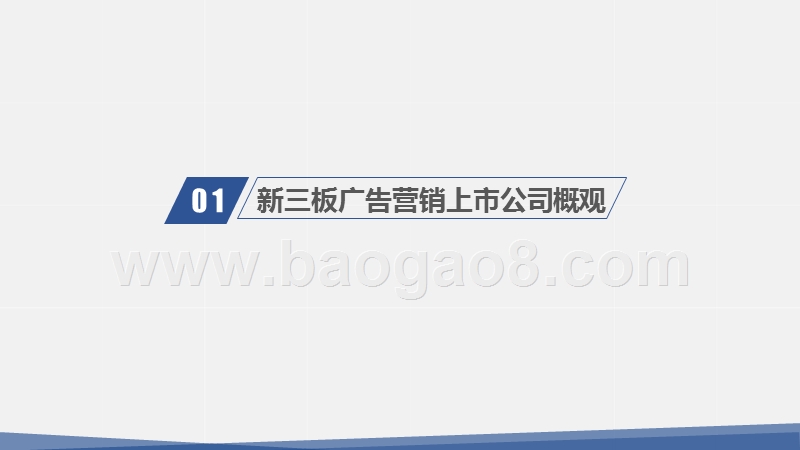 2018-2019新三板广告营销上市公司绩效数据报告.pptx_第3页